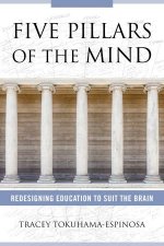 Five Pillars Of The Mind Redesigning Education To Suit The Brain