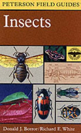 Field Guide to Insects by BORROR DONALD