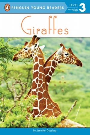 Giraffes by Jennifer Dussling