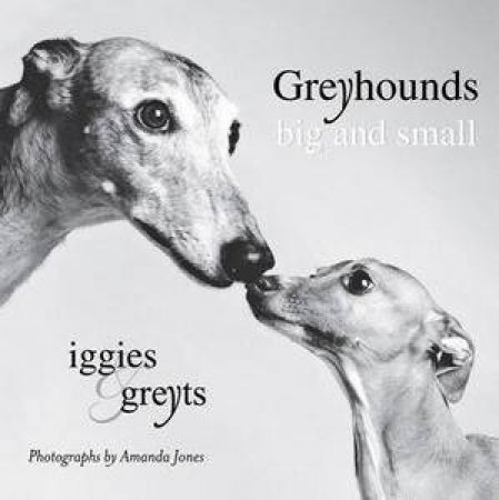 Greyhounds: Big and Small by Various