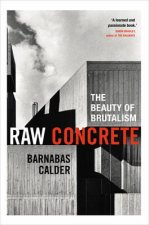 Raw Concrete