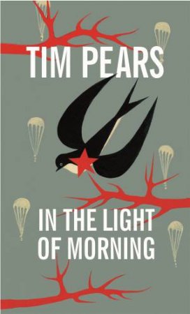 In the Light of Morning by Tim Pears