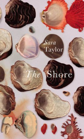 The Shore by Sara Taylor