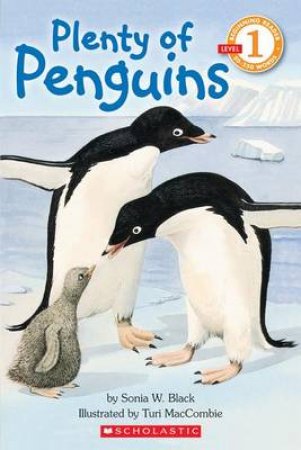 Plenty Of Penguins by Sonia Black