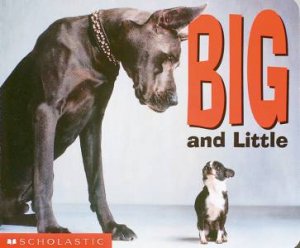 Big And Little Board Book by Samantha Berger