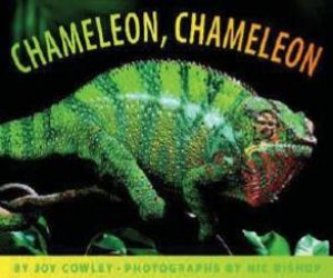 Chameleon Chameleon by Joy Cowley