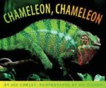 Chameleon Chameleon