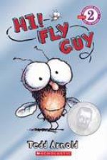 Hi Fly Guy