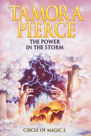 The Power In The Storm by Tamora Pierce