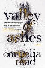 Valley of Ashes