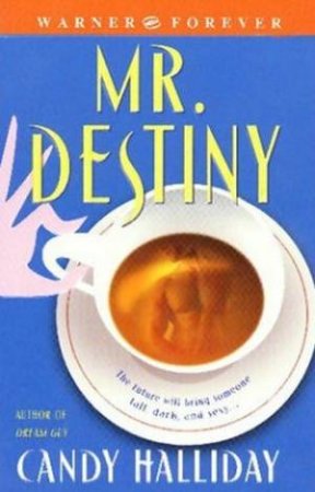 Mr Destiny by Candy Halliday