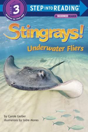 Stingrays! Underwater Fliers by Carole Gerber