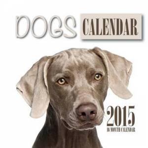 2015 Calendar by Various