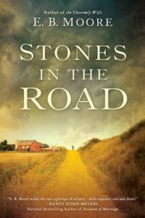 Stones in the Road by E. B. Moore