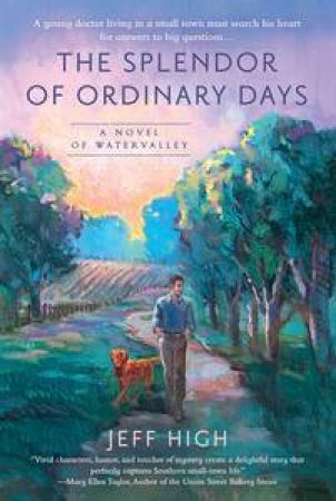 The Splendor of Ordinary Days: Watervalley Book 3 by Jeff High