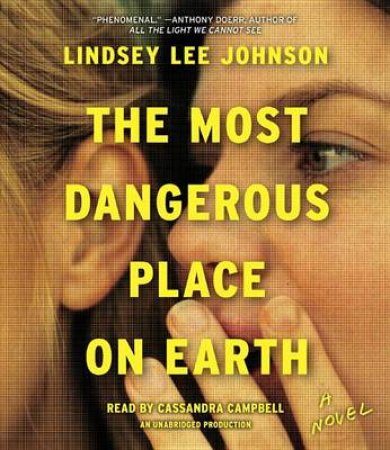 The Most Dangerous Place On Earth by Lindsey Lee Johnson