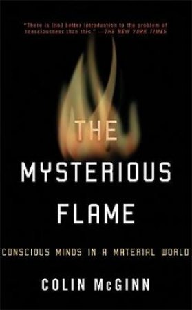 The Mysterious Flame by Colin McGinn