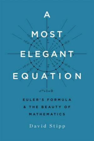 A Most Elegant Equation by David Stipp