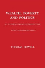 Wealth Poverty And Politics An International Perspective