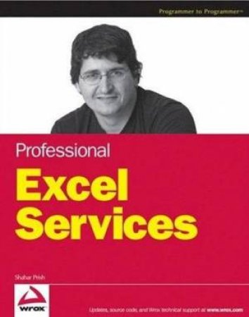 Professional Excel Services by Shahar Prish