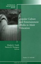 Popular Culture And Entertainment Media And Adult Education 115