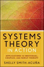 Systems Theory in Action Applications to Individual Couples and Family Therapy