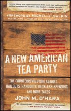 A New American Tea Party The Counterrevolution Against Bailouts Handouts Reckless Spending and More Taxes