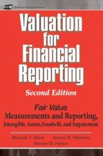 Valuation For Financial Reporting 2nd Ed