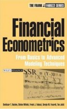 Financial Econometrics From Basics To Advanced Modeling Techniques