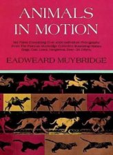 Animals in Motion