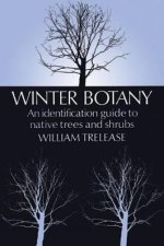 Winter Botany