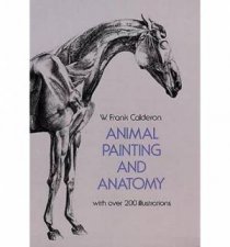 Animal Painting and Anatomy