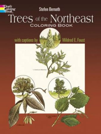 Trees of the Northeast Coloring Book by STEFEN BERNATH