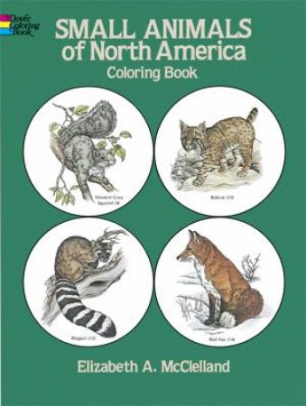 Small Animals of North America Coloring Book by ELIZABETH ANNE MCCLELLAND