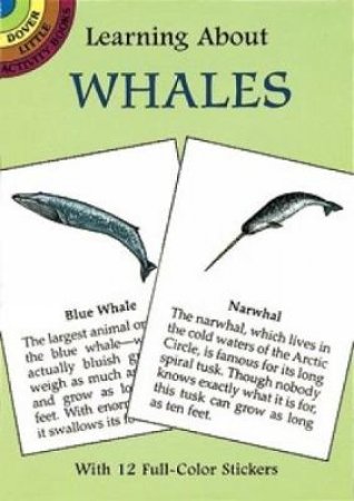 Learning About Whales by SY BARLOWE