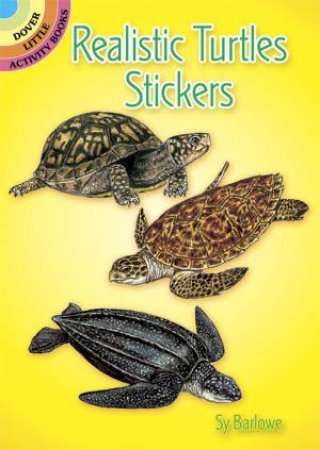 Realistic Turtles Stickers by SY BARLOWE