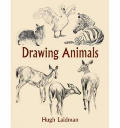 Drawing Animals by HUGH LAIDMAN