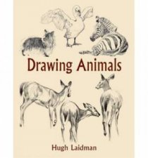 Drawing Animals