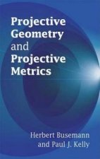 Projective Geometry and Projective Metrics