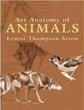 Art Anatomy of Animals by ERNEST SETON-THOMPSON