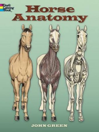 Horse Anatomy by John Green