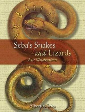 Seba's Snakes and Lizards by ALBERTUS SEBA