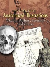 Classic Anatomical Illustrations