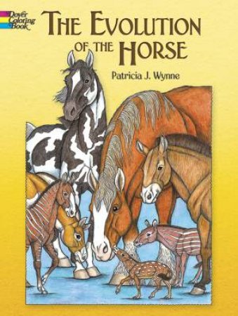 Evolution of the Horse by PATRICIA J. WYNNE