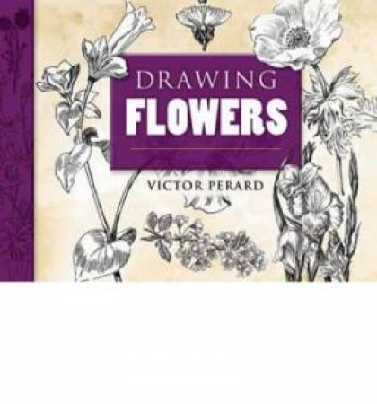 Drawing Flowers by VICTOR PERARD