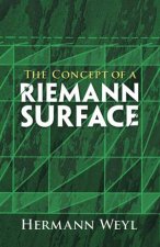 Concept of a Riemann Surface