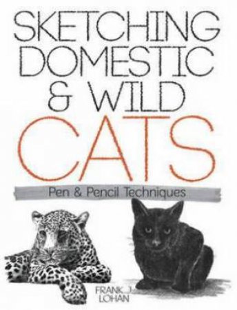 Sketching Domestic and Wild Cats by FRANK J LOHAN