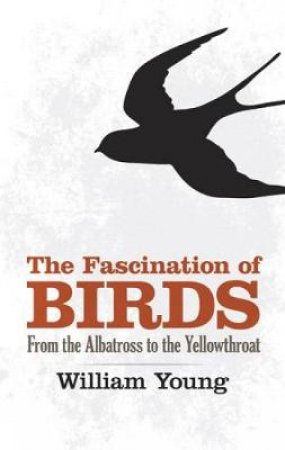 Fascination of Birds by WILLIAM YOUNG