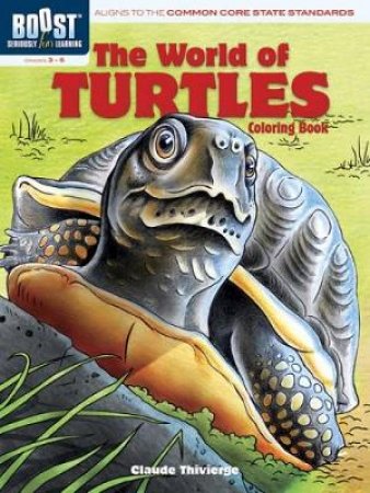 BOOST The World of Turtles Coloring Book by CLAUDE THIVIERGE