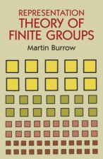 Representation Theory of Finite Groups